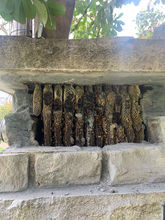 Dallas Stone Column Beehive.jpg