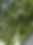 IMG-20190926-WA0000.jpg