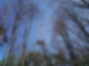 IMG_20190323_124218_2.jpeg