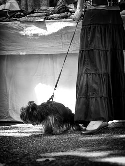 StreetPhoto14.jpg