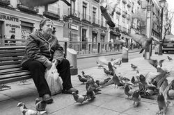 StreetPhoto11.jpg