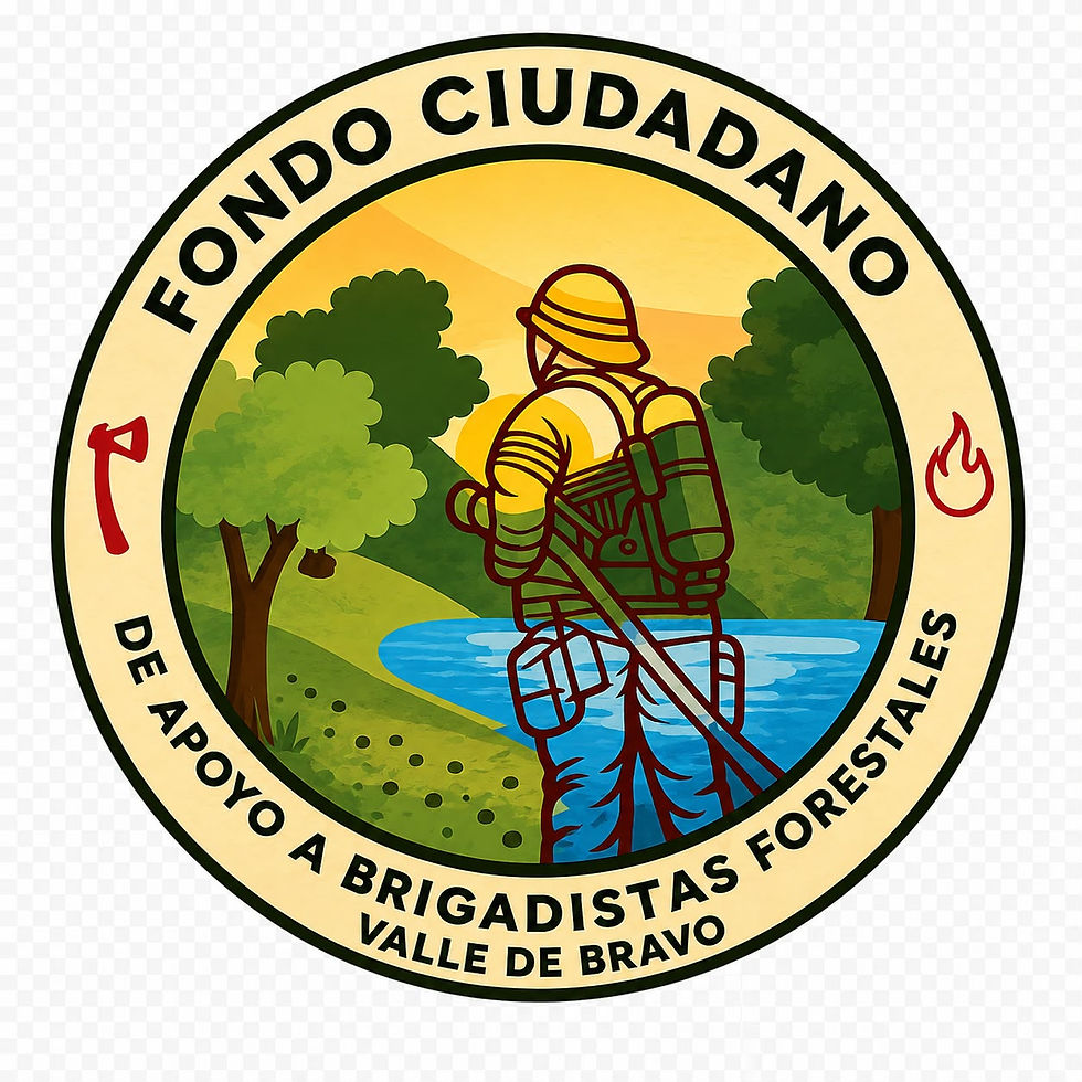 logo isa.jpeg