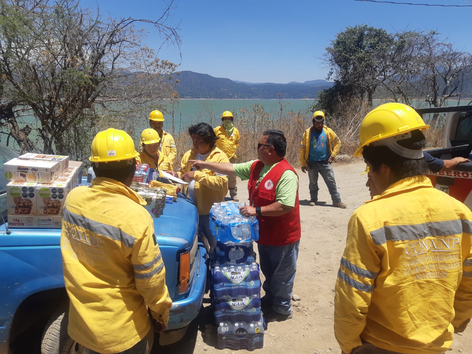 ¿Cómo crees que sería la mejor forma de apoyar a los bomberos urbanos y a las brigadas de bosques? content media