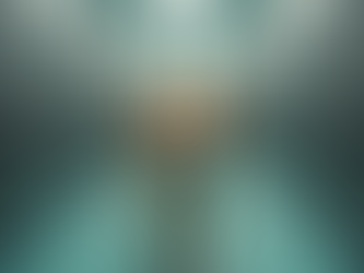 Understanding US Animal Welfare Laws