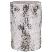 12 Inch Birch Stump