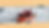 definitivohimge384714.png