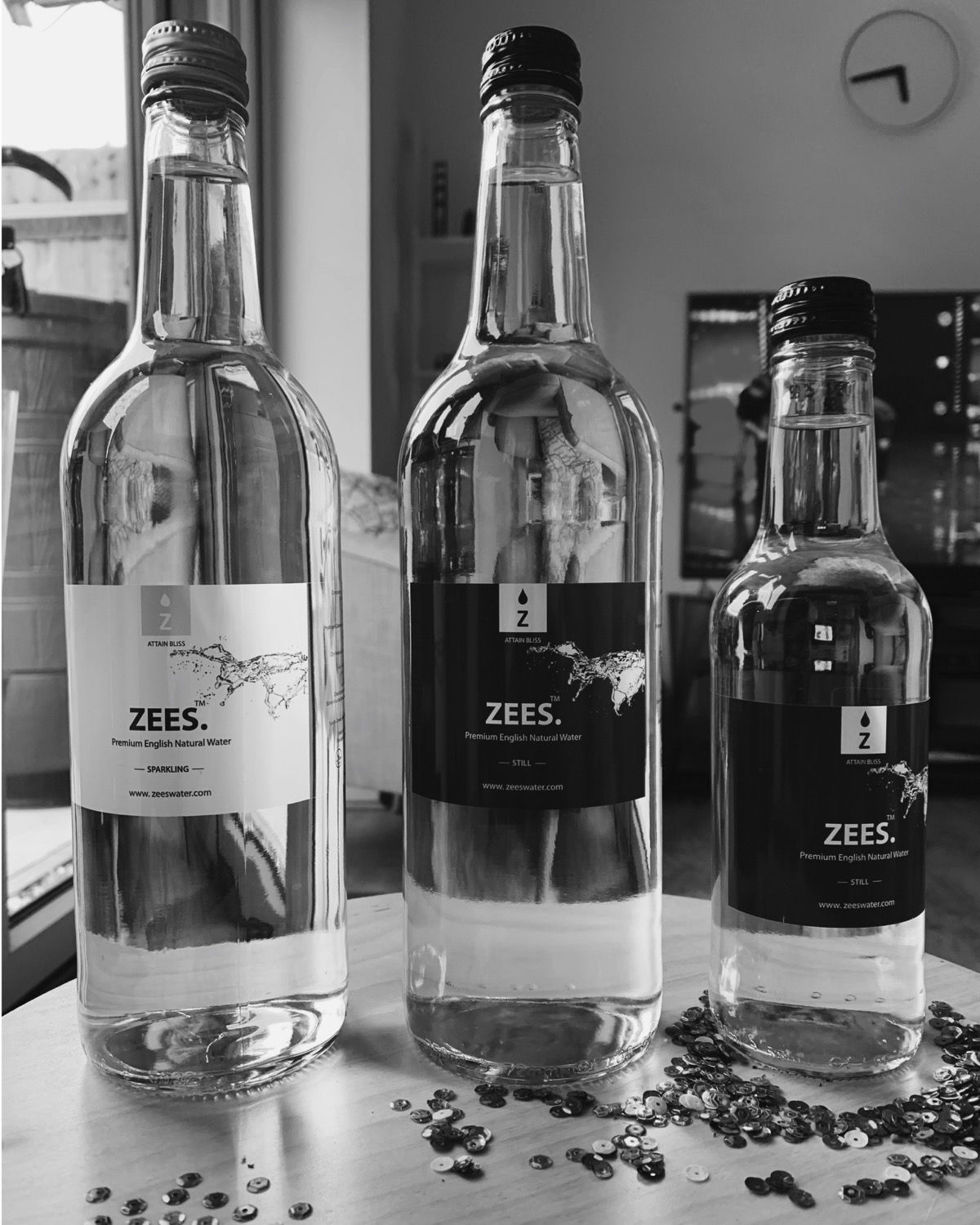 ZEES - Sparkling Water (750ml 12bottles)