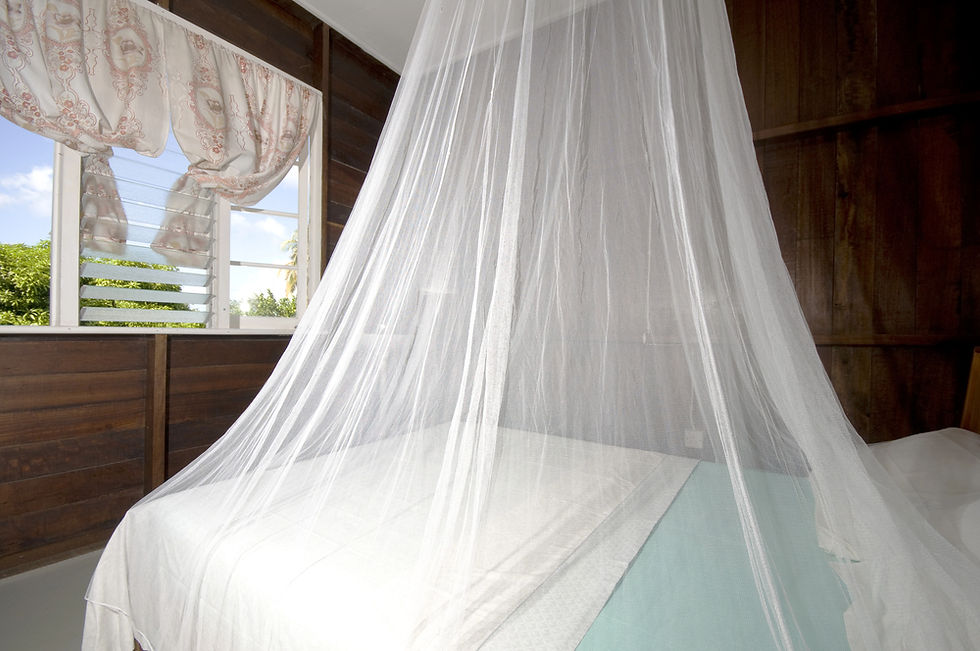 Clean bed with protective mosquito net at Ebenezer Children's Home in Kenya, providing life-saving protection against malaria-carrying mosquitoes.