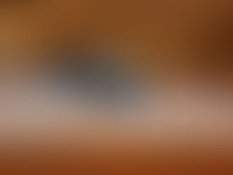 A tired-looking dog lying on a wooden porch, resting in front of a cabin wall.