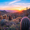 Tucson-Arizona-1024x571.jpg