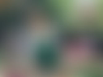 Celebrate America’s 250th Birthday on us — Enter to Win a $250 ShopRite Gift Card!