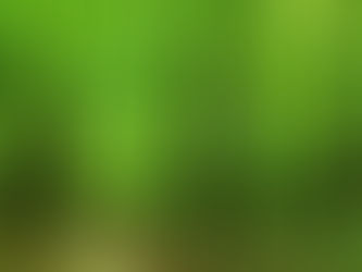 The Healing Magic of Green: How This Calming Color Supports the Mind, Body— and the Hospice Journey