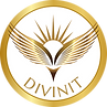 Divinit logo with wings and rising sun