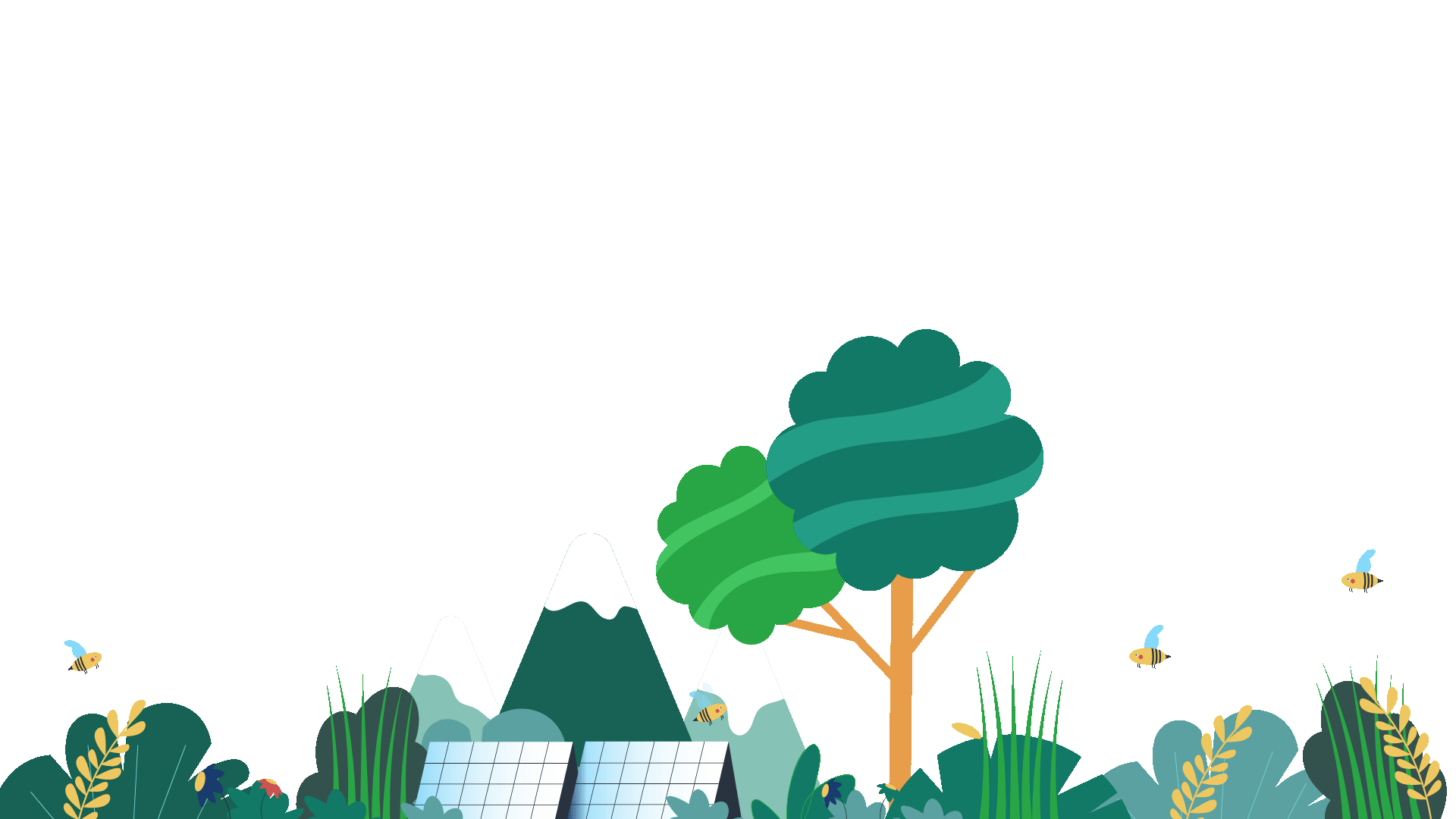 Website (1).gif