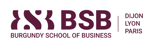 logo-bsb.gif