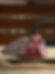_A086386.ORF