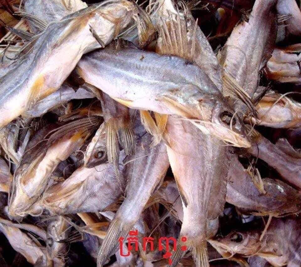 Thumbnail: Salted fish kon-Jos  ( ត្រីកញ្ចុះ )