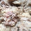 Thumbnail: 1kg Pahok Meat No Bone 