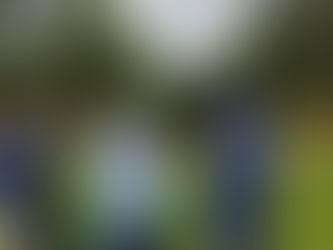 ◎鹿本管内林務関係の視察