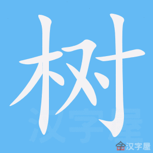 chinois CPF