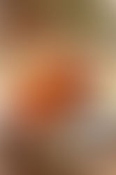 Le canard laqué de Pékin