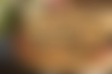 Le gâteau de riz frit (驴打滚 lǘ dǎ gǔn)