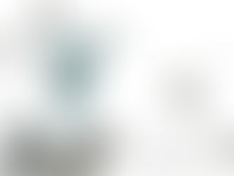 Petite histoire allégorique "阳春白雪" (Yáng chūn Bái xuě)