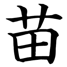 apprendre le chinois en ligne