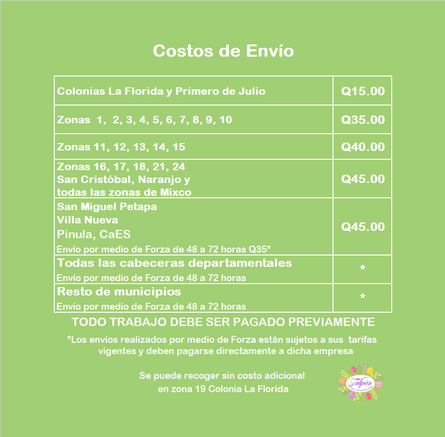 4 Tarifa EnvÃo Diciembre 2024 - General