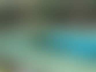 Florida’s 1,100 Natural Springs Are Under Threat – a Geographer Explains How to Restore Them