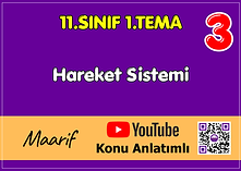Hareket.png