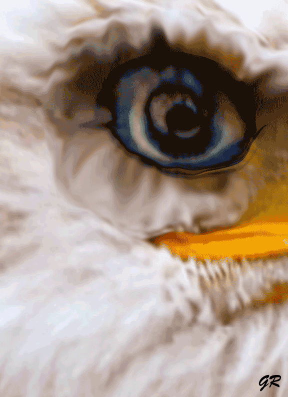 ggeagleeye.gif