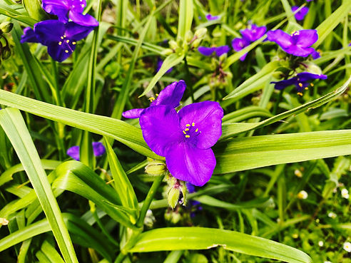 IMG_5748 Edited.jpeg