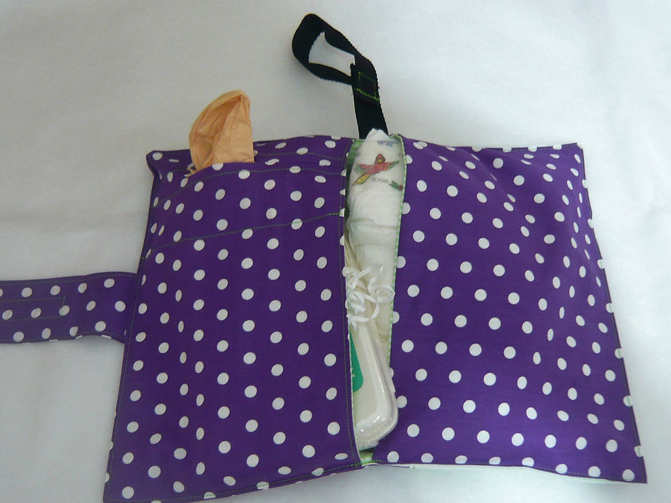 Small Change Nappy Wallet in Use