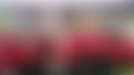 Ganadores Nueva Acrópolis