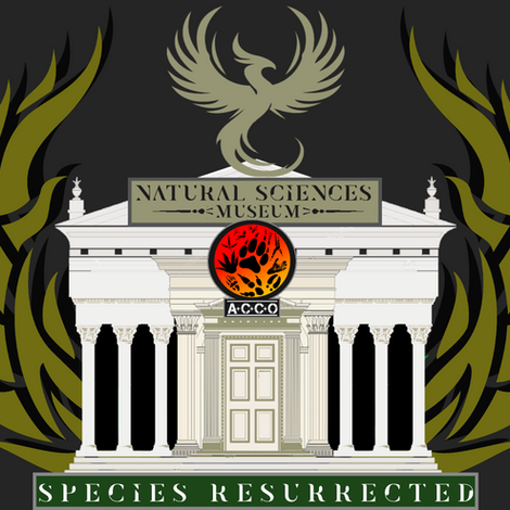 ACCO Museum Archive & Specimen Collections