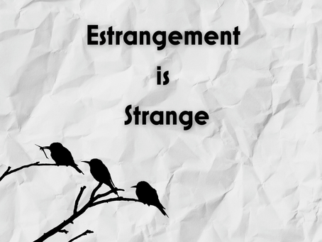 Family Estrangement is Strange