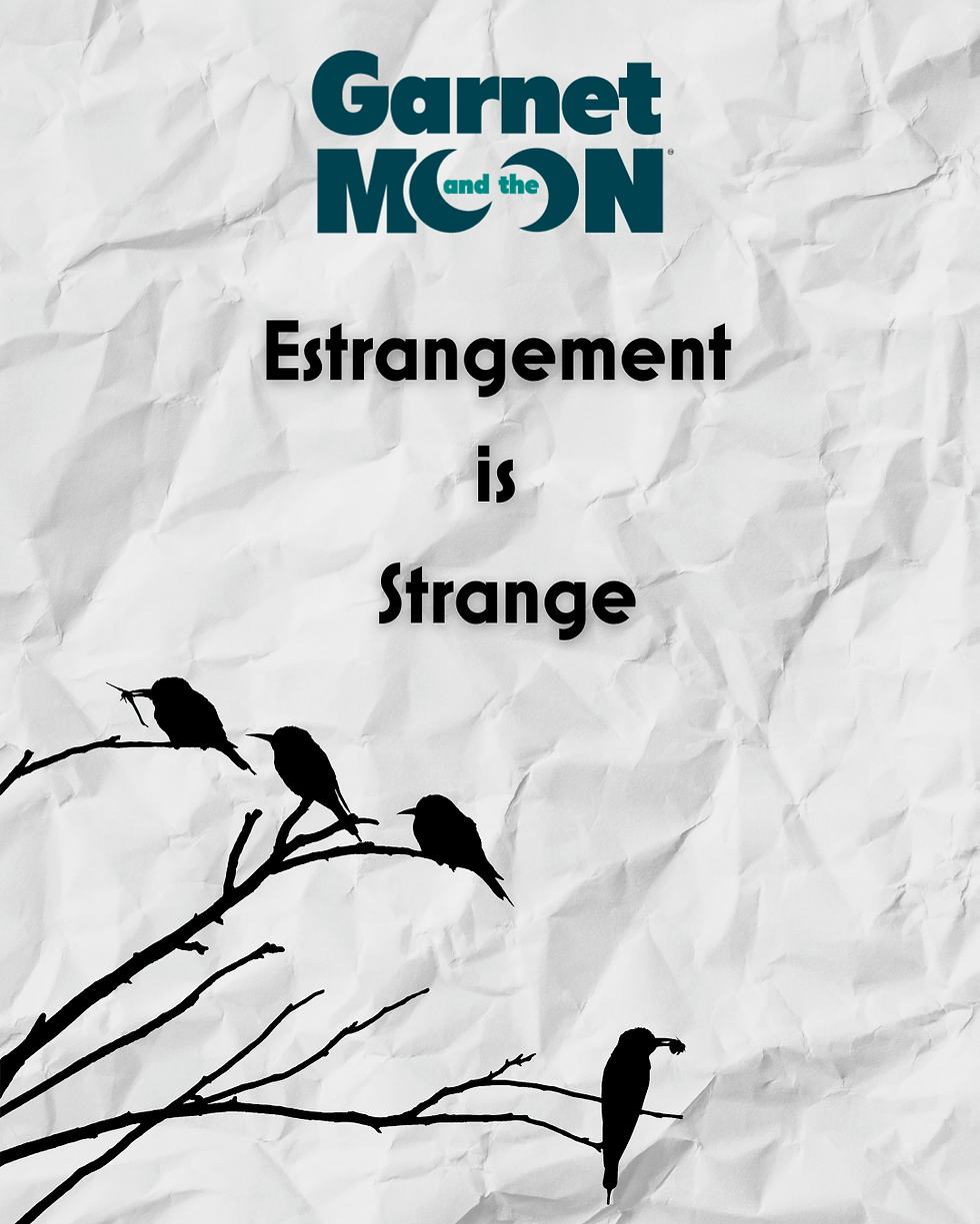 Family Estrangement is Strange
