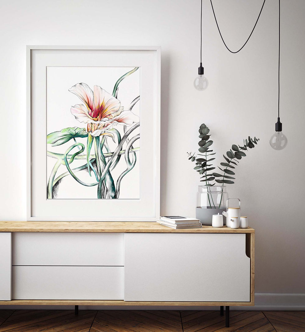 縮圖：Nasturtium Fine Art Print