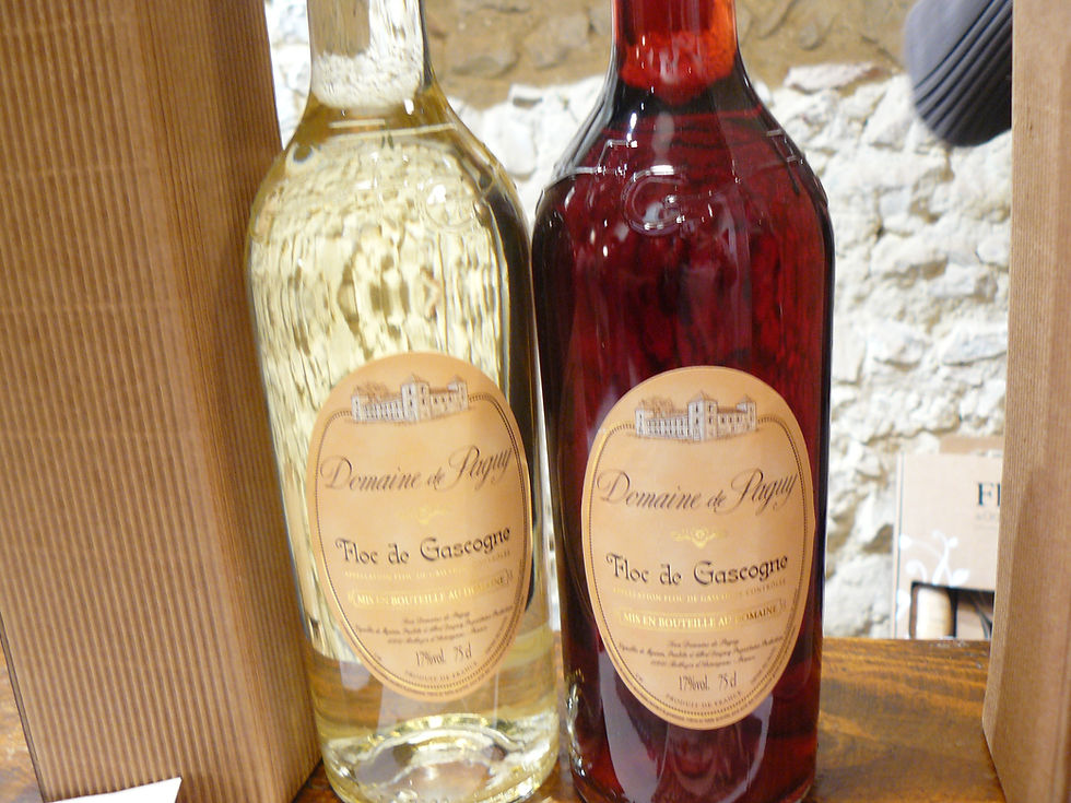 Soupapes et pistons Hasparren sortie avec Dynamic auto retro en Armagnac 24-4-16 (64)