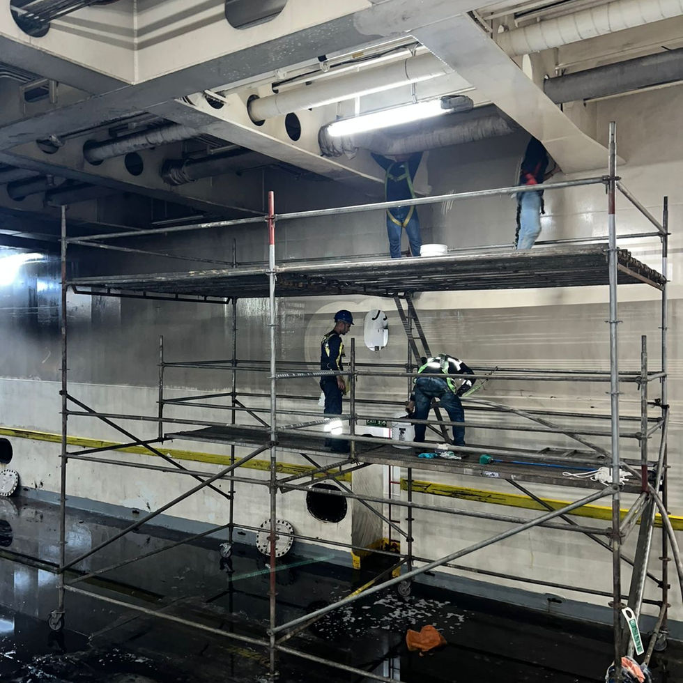 Cellar washing