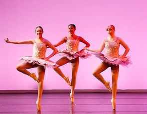 pointe (2).jpg