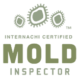 Mold Inspections. Goodkind Property Inspections.