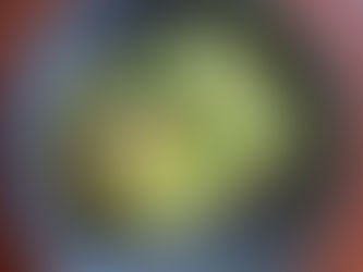 Petit-déjeuner vert protéiné et gras