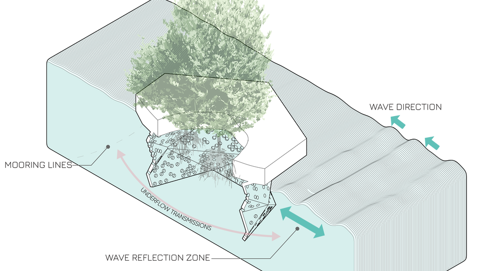 Mangrove Diagram