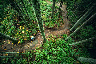 # 24RR _ c-wiseman-brooklynbell-0084.jpg