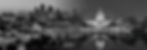 background.jpg