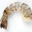 Thumbnail: Easy Peel Black Tiger Shrimp 4/6ct 5lbs