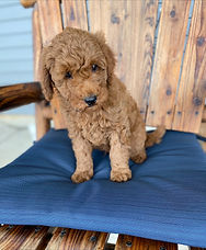 processed-82A371B9-8CA2-496C-994C-F9C22D79BB20-7D908988-7E17-4A19-9977-68E9BFC30316.jpeg[6