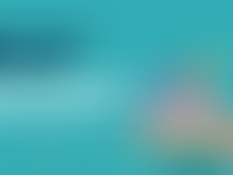 Best Bible Studies For Christian Youngsters